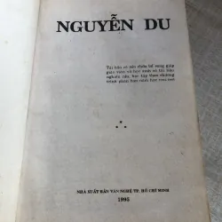 Phê bình-bình luận văn học Nguyễn Du 971171
