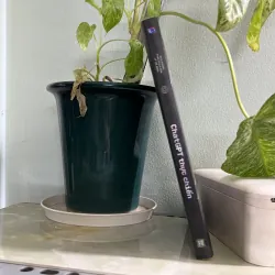 Chatgpt thực chiến 746448