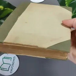 Trà Hoa Nữ 604659