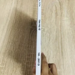 TÌNH PHỤ TỬ 1006309