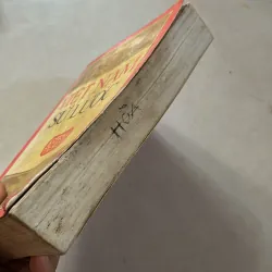 Việt Nam lược sử - Trần Trọng Kim 800951