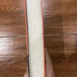 Tiếng chim hót trong bụi mận gai (14) 762301