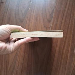Dưới mắt tôi 505345