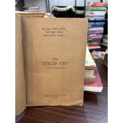 Hoa Tulip Đen - A. Duyma 936723