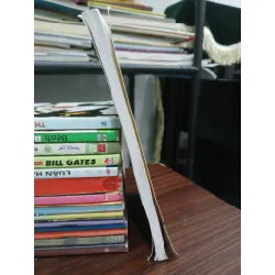 Truyện đọc lịch sử Việt Nam – Tập 2 — GS. Đinh Xuân Lâm chủ biên 577750