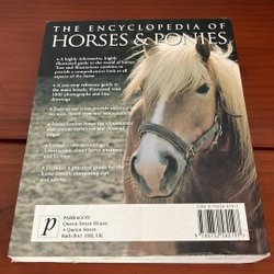 PICTURE BOOK The encyclopedia of horses & ponies 536856
