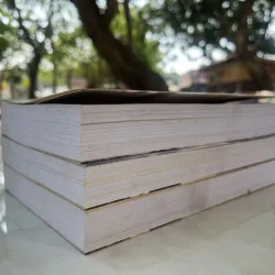 MỘT CUỘC ĐỜI MỘT VẦNG NHẬT NGUYỆT - MINH ĐỨC, TRIỀU TÂM ẢNH 1029948