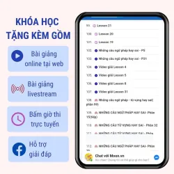 3000 câu Ngữ pháp và Từ vựng hay sai 795781