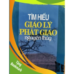 (TẶNG BOOKMARK) Tìm hiểu giáo lý Phật giáo nguyên thủy - 2007 - 219 trang Sách tôn giáo - tâm linh RBK3101