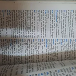 Từ điển tiếng Việt Nguyễn Kim Thản