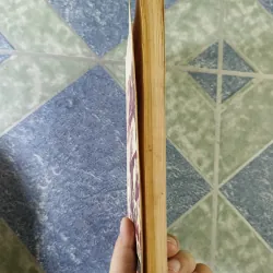 The Sorrow of War a novel - Bao Ninh 708919