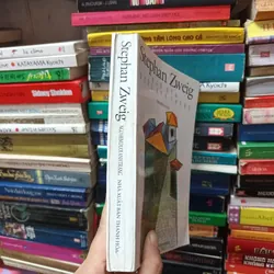 Ngõ Hẻm Dưới Ánh Trăng - Stephan Zweig 692867