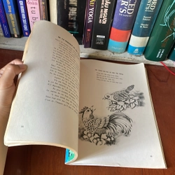 II Thơ Ngụ Ngôn: LA FONTAINE - FABLES DE LA FONTAINE (Tập 2) - 1997 539562