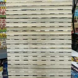 D.Gray-man 24 tập 926660