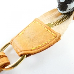 Túi xách Louis Vuitton Multicolor Pochette Accessoires M92648 620946