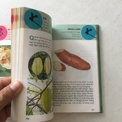 Từ Điển Tranh Về Các Loại Củ, Quả - Lê Quang Long chủ biên 545526