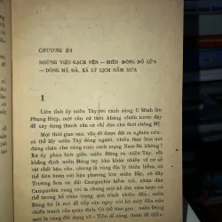 Hạt muối đỏ vùng đất hiểm - Nguyễn Việt Phương  786602
