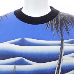 Áo sweatshirt kỹ thuật cotton in LOUIS VUITTON HRY24WZE5 - Hàng hiệu Authentic 893388