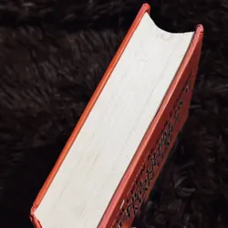 Tiếng chim hót trong bụi mận gai 737313