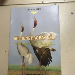 Khi Hồng Hạc Bay Về 