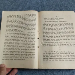 HƠN NỬA ĐỜI HƯ - VƯƠNG HỒNG SỂN 701931