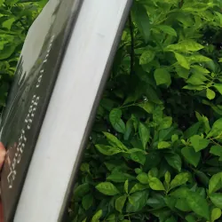 Marian Tkachev người bạn tài hoa và chí tình  1002579