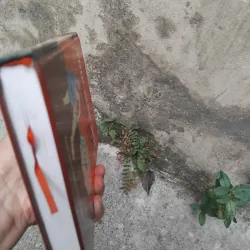 Nhịp sinh học với Dịch học trong văn hóa phương Đông  1022856