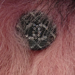 CHANEL P71634C63182 21K Áo khoác không cổ - Hàng hiệu Authentic 817688