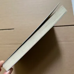 Tỷ phú bán giày - Tony Hsieh 789153