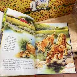 Thảo Nguyên Kỳ Diệu 928075