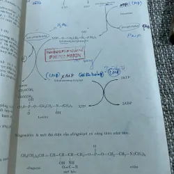 Sinh hóa đại cương, sách khổ lớn, thiếu trang mục lục  1021345