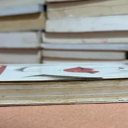 Phía Nam biên giới, phía Tây mặt trời 🌊 595363