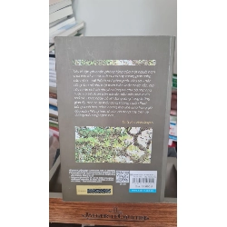 Trước nhà có cây hoàng mai - Minh Tự 407679