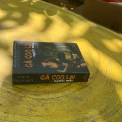 GÃ CON LAI NGƯỜI MẪU- COLIN FALCONER  782689