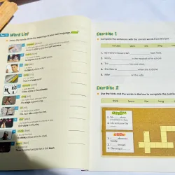 Bộ sách 1000 basic English words (4 cuốn) 732947