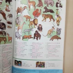 Nâng cao vốn từ vựng tiếng Tây Ban Nha theo chủ đề bằng hình ảnh 696780