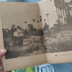 [XƯA] [HIẾM] Xứ Sở Nụ Cười (1984) - Tạ Văn Bảo 997585