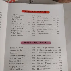 1000 + animal facts 969842