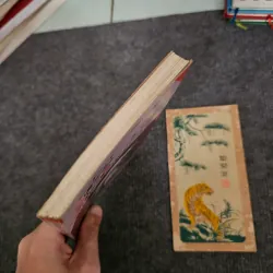 Sự kỳ diệu của chữ viết Việt Nam hiện đại 745969