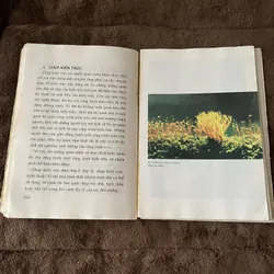 Nghệ thuật nhiếp ảnh màu 605111