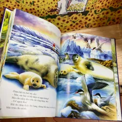 Thảo Nguyên Kỳ Diệu 928075