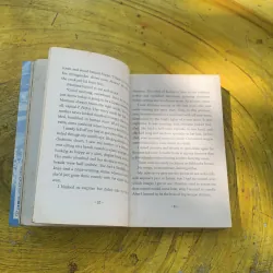 SWITCH- INGRID LAW 763340