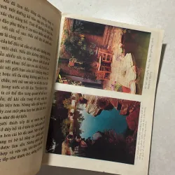 Trang trí vườn cảnh - Đỗ Xuân Hải 799844