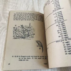 CUỘC SỐNG KỲ DIỆU  928975