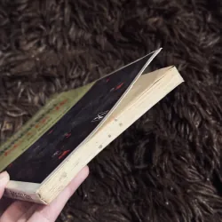 Lạc lối về 993365