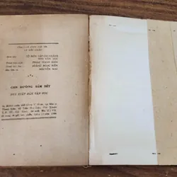 Tác phẩm văn học Nam Phi: CON ĐƯỜNG SẤM SÉT - Peter Abrahams 732907