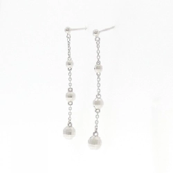 Bông tai PT/PT900 - Hàng hiệu Authentic 868213