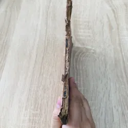 THỂ LỆ & CHƯƠNG TRÌNH – TÚ 2 (1972) 971887