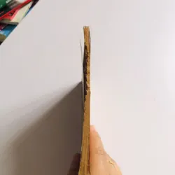 CHỒNG EM TÒNG QUÂN – Ngô Hoàng Quân 795530