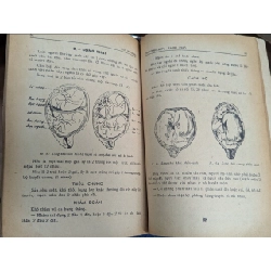 Tôi hộ sinh nguyên lý thực nghiệm sản khoa - V.N.Hoàng & Linh Ba 128041